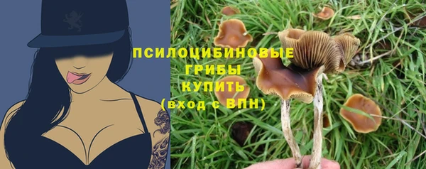 прущие крисы Куйбышев